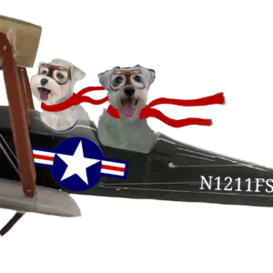 pilot