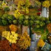 Drone Photography