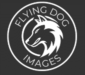pilot