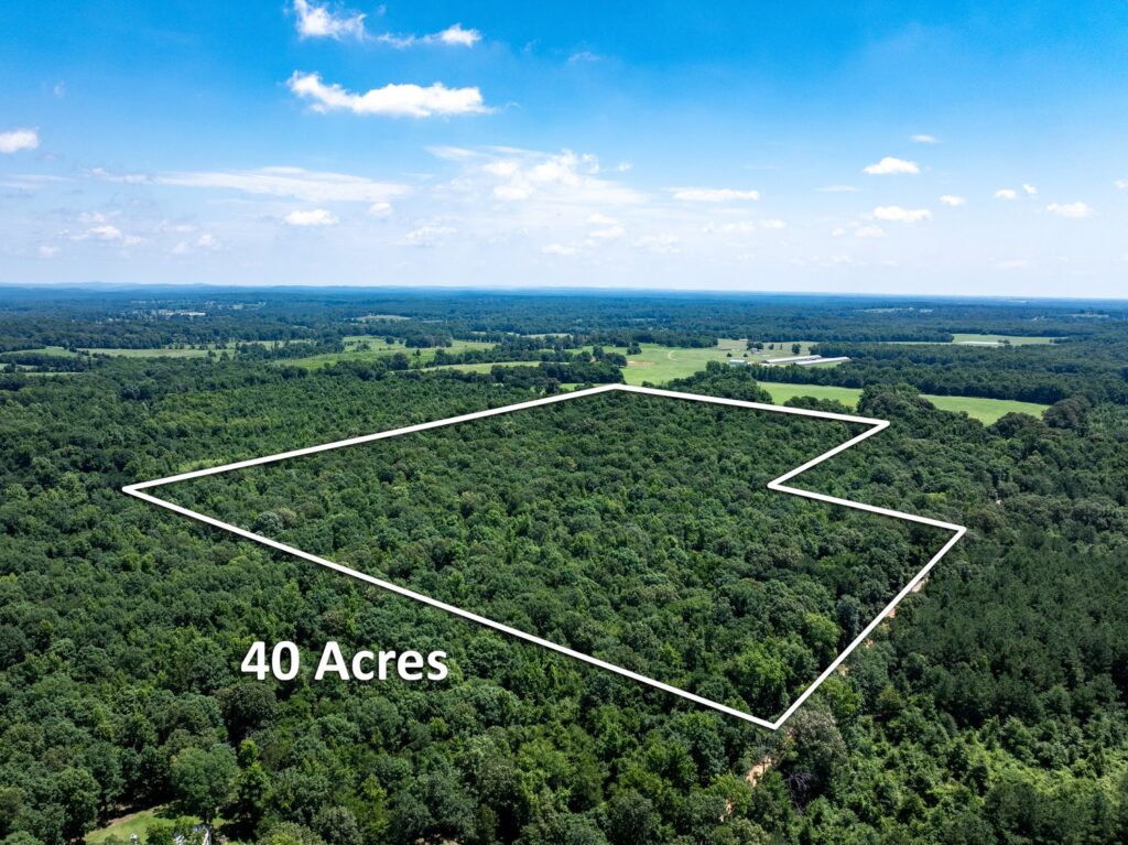 aerial real estate photography