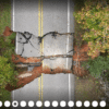 Aerial Drone Photographs in North Carolina by Rob Byron