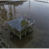 Insurance – Property and Damage Assessment in North Carolina by Phil Work