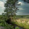Land Wholesale in North Carolina by Jason Civiello