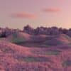 3D Model Photography in North Carolina by Vergil Johnson