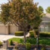 Professional Real Estate Drone Services | Aerial Photography & Video
