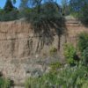 Advanced Aerial Imaging for Sensitive Environments
