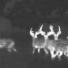 Military Grade Thermal Imaging Services | AriseImaging