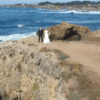 Enhance Your Wedding with Aerial Photography and Live Streaming Services
