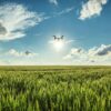 AG Drone Spraying Services in Texas by Timothy Butler