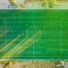 Capture Aerial Views of Real Outdoor Events in Georgia by ProGlide Aerials